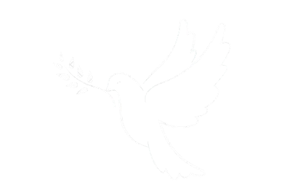 Bird illustration